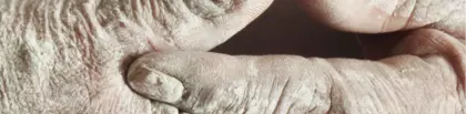 Una historia una pasión un oficio